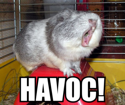 HAVOC-1.jpg