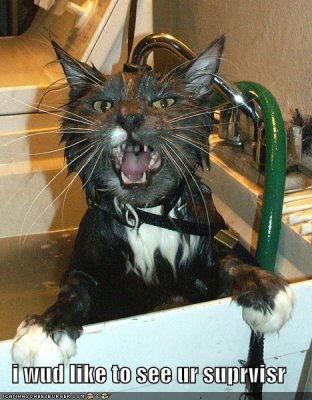 bath supervisor