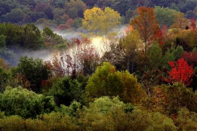 Early Fall Feeling