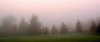 Predawn Foggy Condition # 7