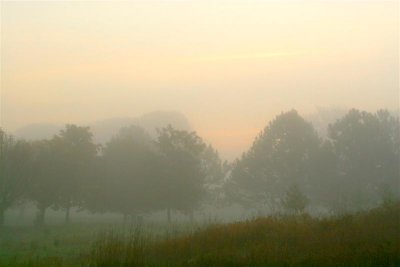 Predawn Foggy Condition # 9