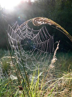 16.09.06 : excursie Olensbroek