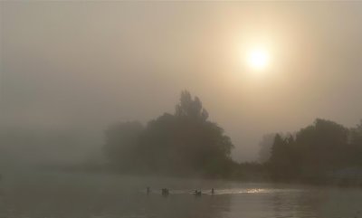 ...een ochtend...in Olen...