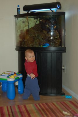 He loves his fish!