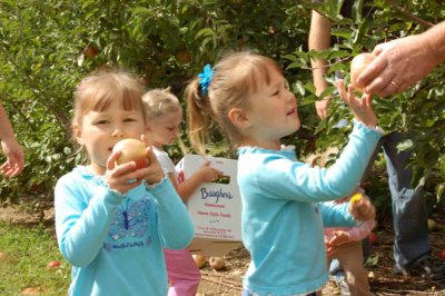 Picking apples! Rory on the left