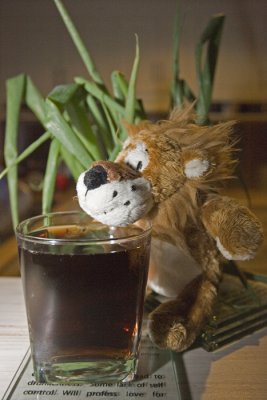 Quick sip before departure