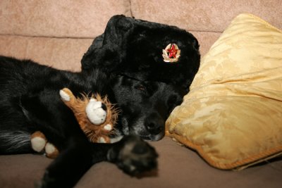 ZZZZZZZZZZZZZZZZZZZZZZ's