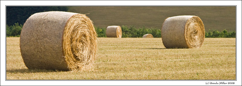 Straw Bales