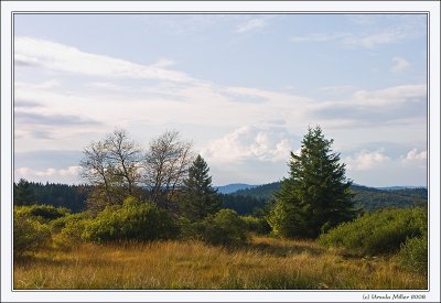 Alsace - Elsass