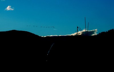 Flight Of Geese w/ VW Bus