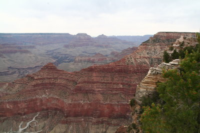 Cedar Ridge from Mather Point