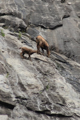 Val di Mello - 31