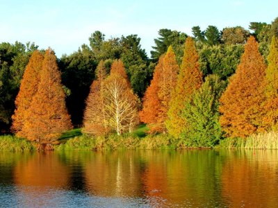 Autumn reflections