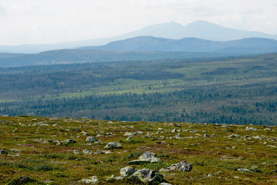 DSC09025_small.jpg