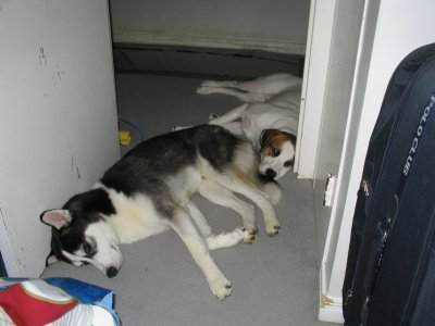 IMG_9804.jpg