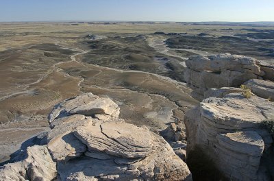 Petrified Forest National Park