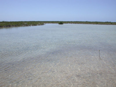 g5/37/284637/3/99048770.jZHX4508.jpg