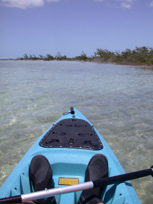 Canoe Trip