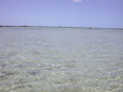 g5/37/284637/3/99048780.9sfmPhBf.jpg