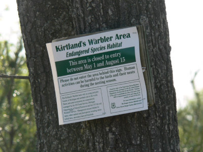 Kirtlands Warbler area