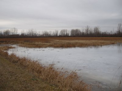 CBC0125b.jpg