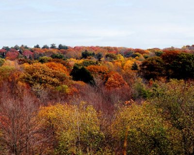 The Quiet Colors   0704