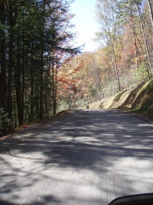PA290054.JPG