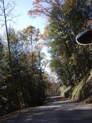 PA290056.JPG