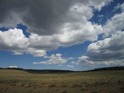 IMG_9656.jpg