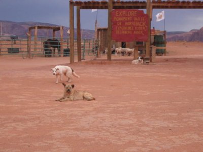 IMG_1850.jpg