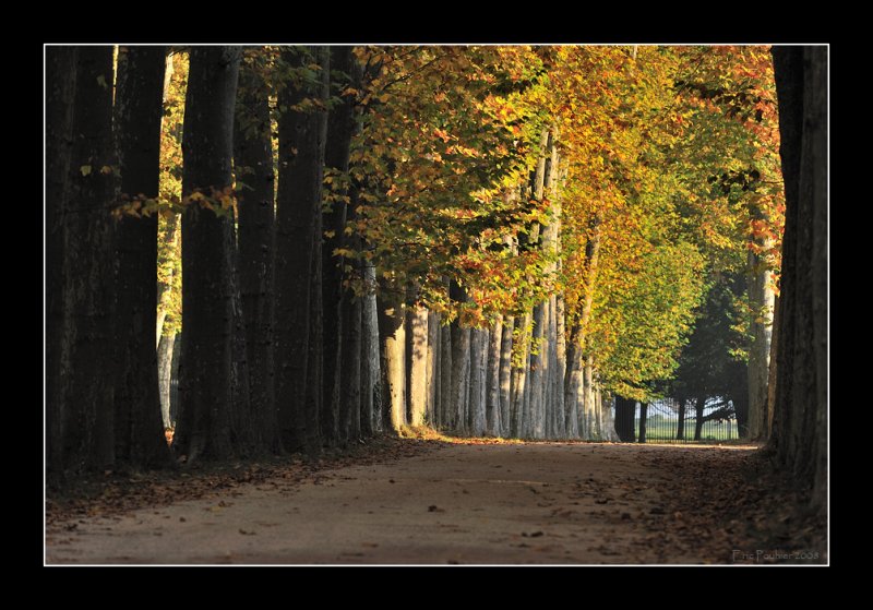 Versailles gardens (EPO_5653)