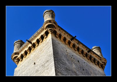 Chateau d'uzes (EPO_4840)