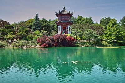 Botanical Garden-Chinese Section