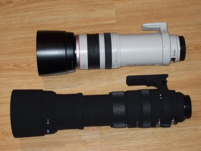 Sigma150-500 vs Canon 100-400