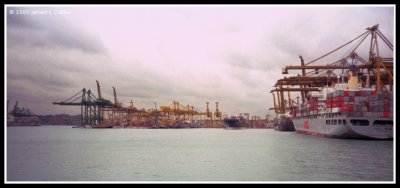 More of the Harbour