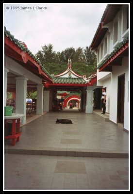 Dog at the Temple