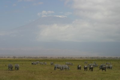 Amboseli - Mt Kilamanjaro