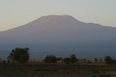 Sunrise - Amboseli - Mt Kilamanjaro