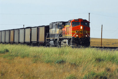 g5/37/72737/3/67226766.WRWxjiSF.jpg