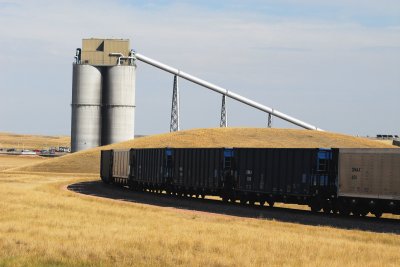 ENTERING THE LOOP SM.jpg