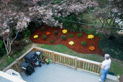 new_landscaping_906