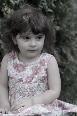 g5/37/747537/3/98831785.nwPNEhJW.jpg