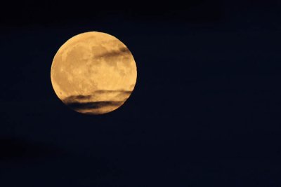 Moon luna_MG_4799-1.jpg