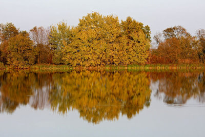 Autumn reflections jesenski odsevi_MG_7509-11.jpg