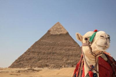 Pyramid and camel piramida in kamela_MG_3698-11.jpg