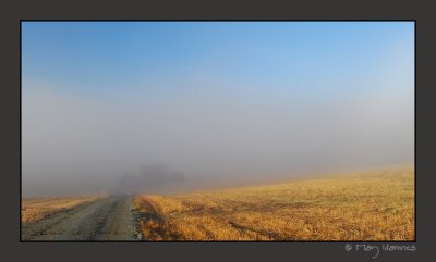 fog