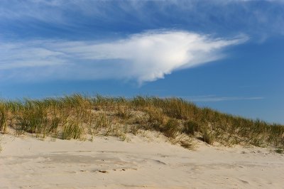 On the Beach