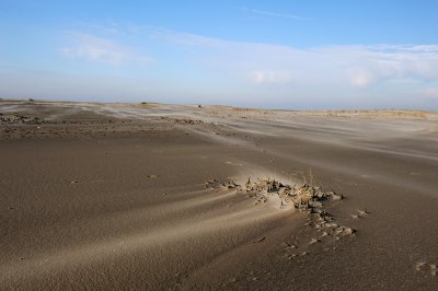 On the Beach