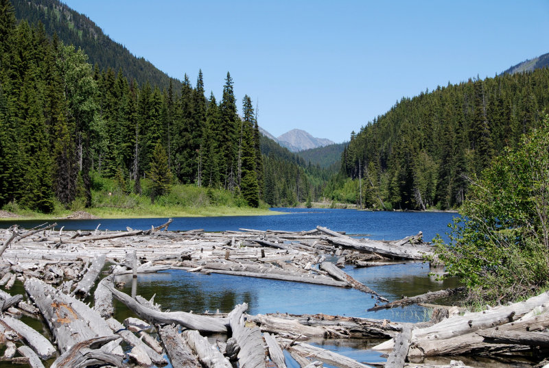 Duffey Lake