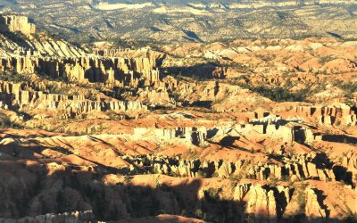IMG_0608_hf.jpg